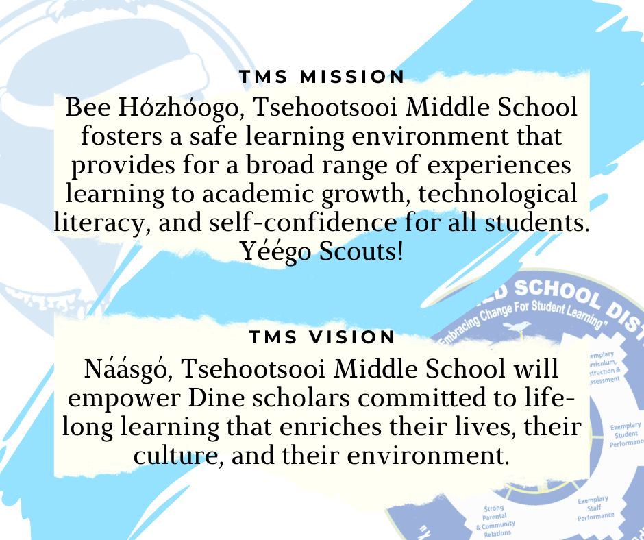 TMS Mission and Vision